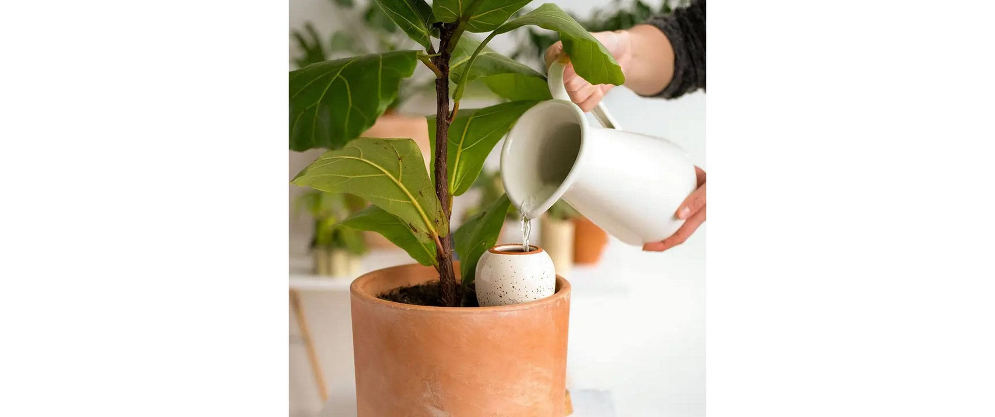 Gorilla gardening Olla Bewässerungssystem – Ton – Braun/Orange – für Zimmer- und Topfpflanzen – Ø 80 × H 170 mm
