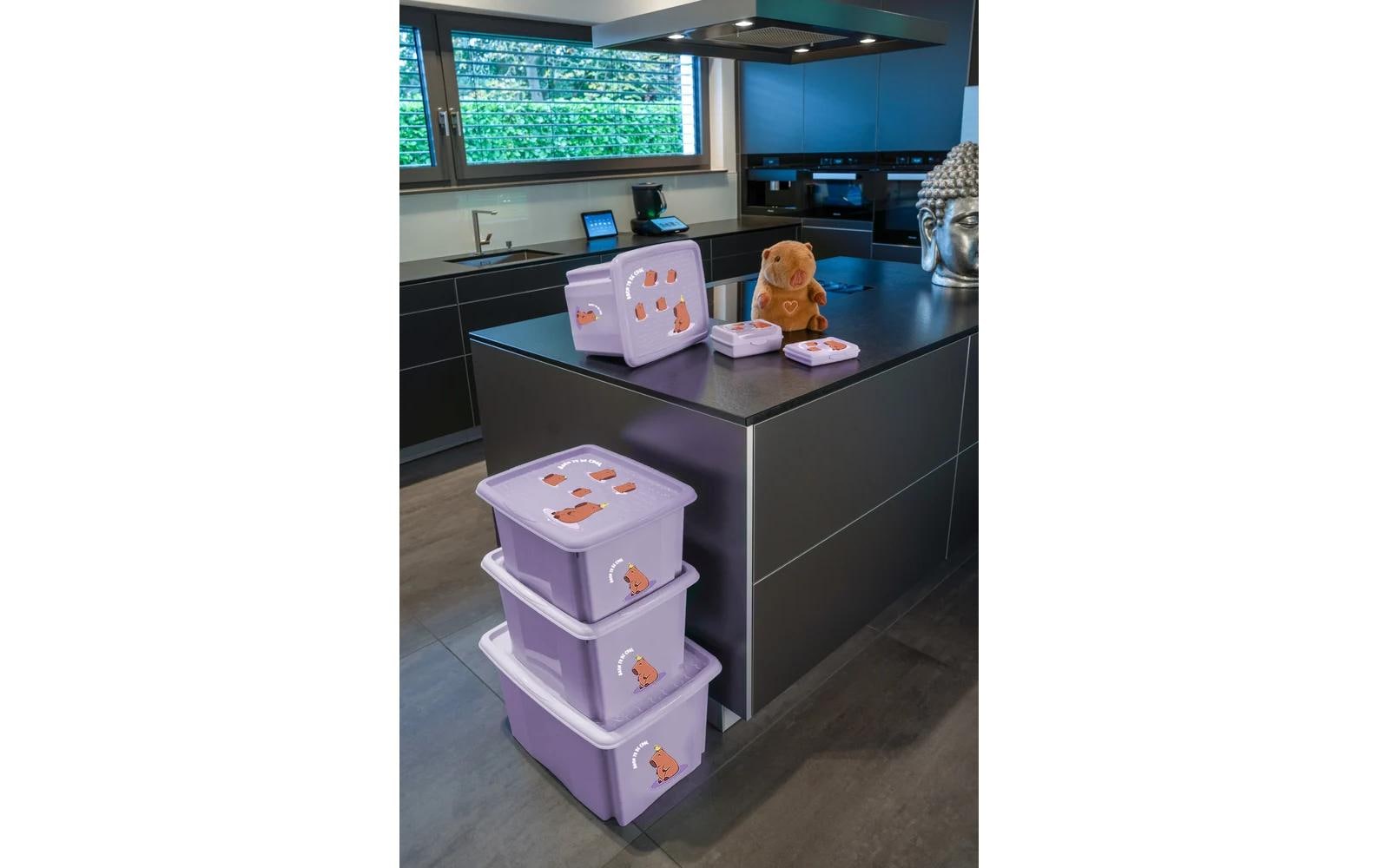keeeper Aufbewahrungsbox 45 l (mit Deckel) – Polypropylen – Schwarz/Violett – 400 × 300 × 555 mm