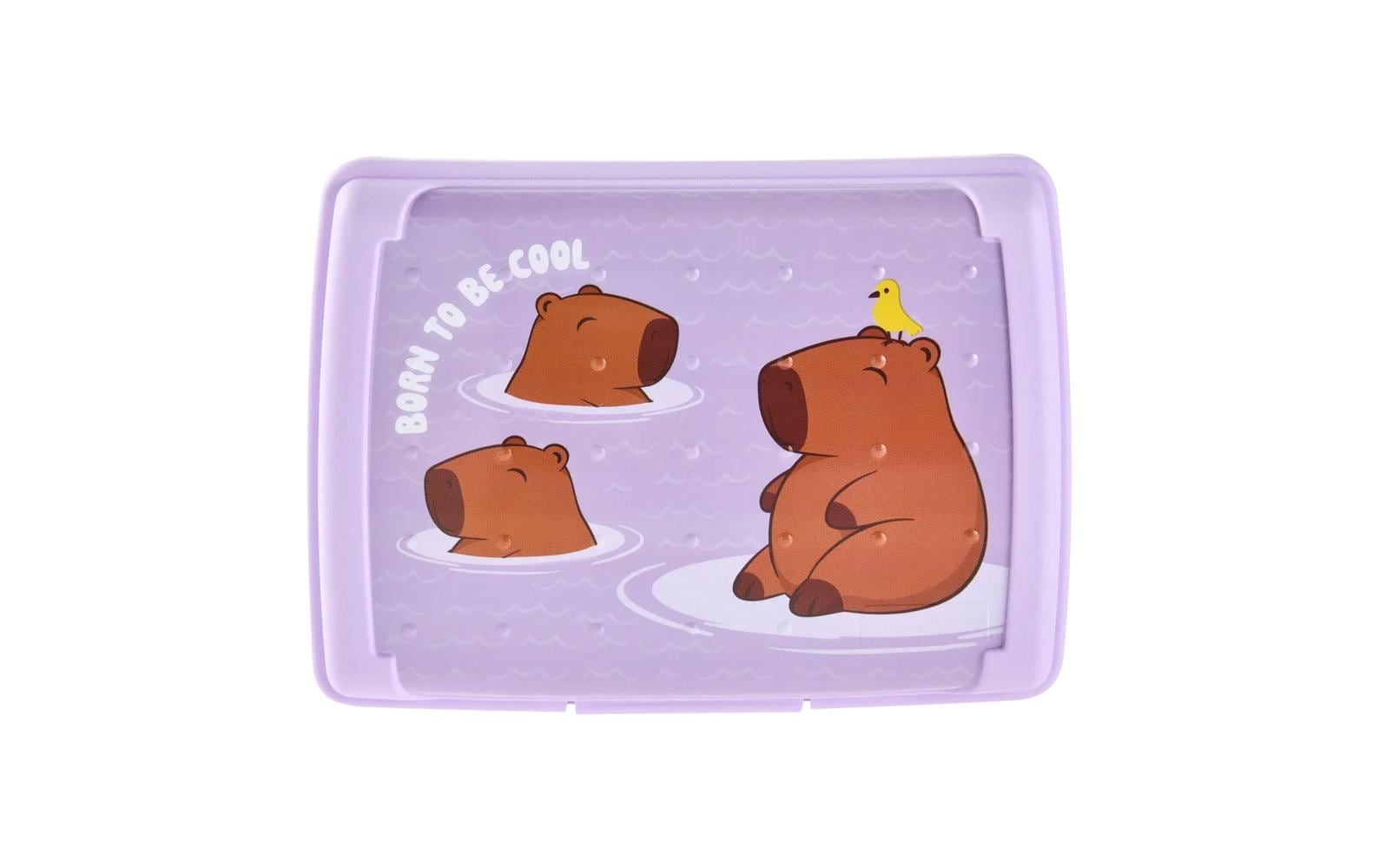 keeeper Lunchbox 500 ml, 13 × 17 × 3.5 cm, Polypropylen (PP), Flieder