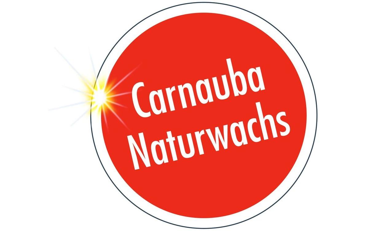 Sonax Wasch & Wax Carnauba – für Lack – 1 l