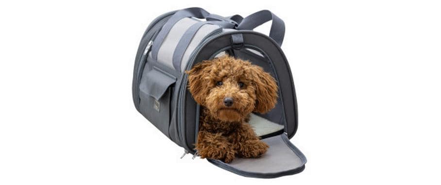 Kerbl Tragetasche Vacation Air – gute Luftzirkulation – für Hund und Katze – 28×28×43 cm – grau