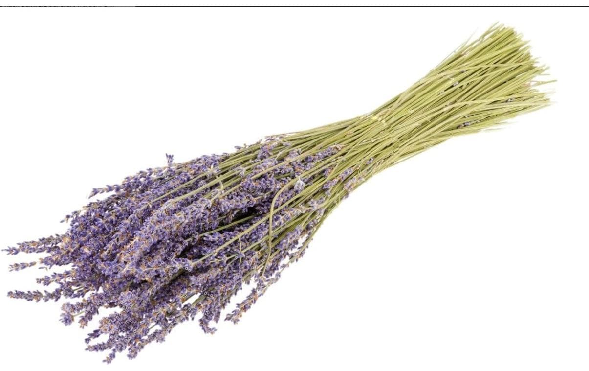 Chalet Trockenblumen Lavendel – Violett