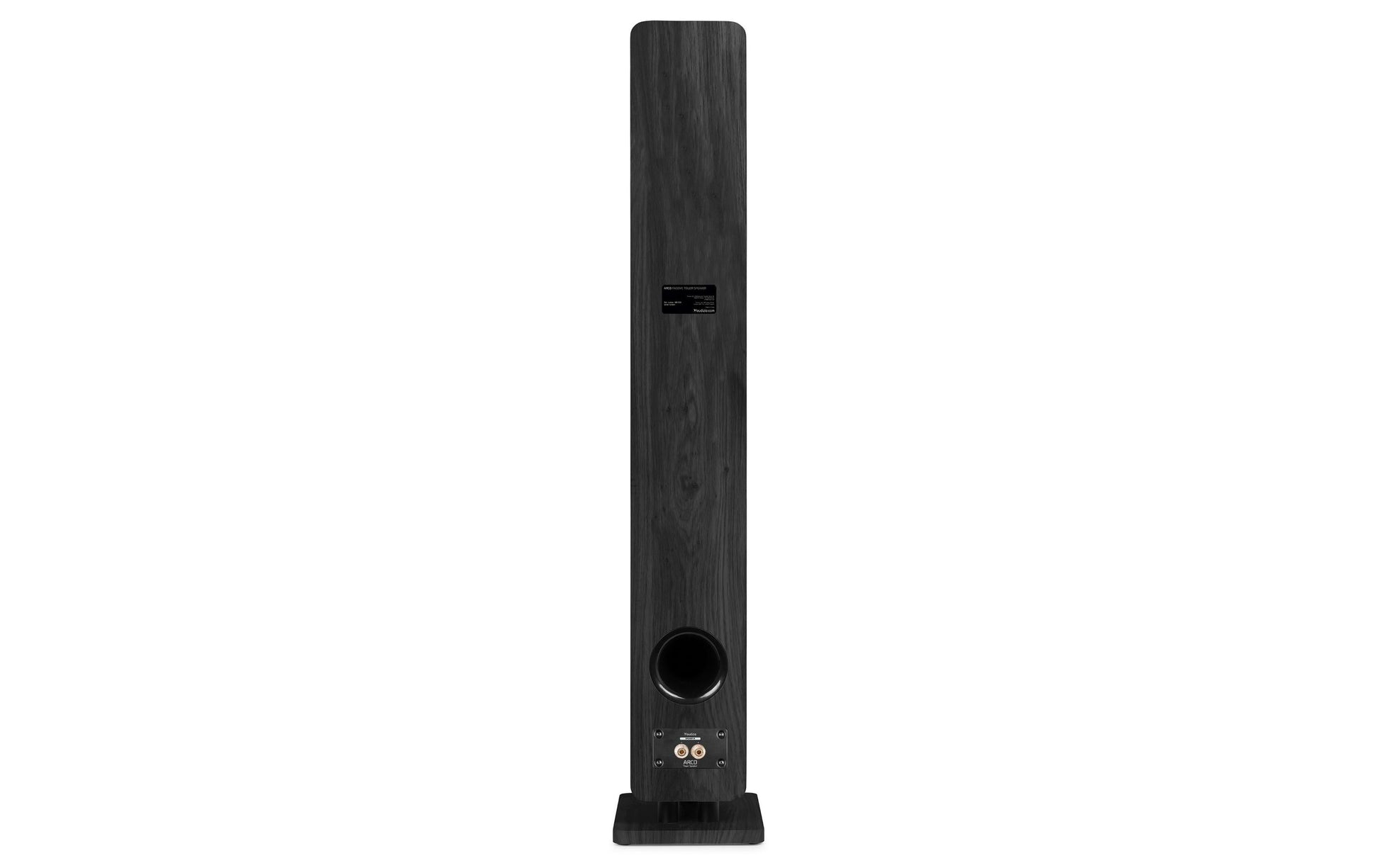 Audizio ARCO-P-BK – Standlautsprecher – Breitband, Passiv, 1-Weg, 160 W – Schwarz