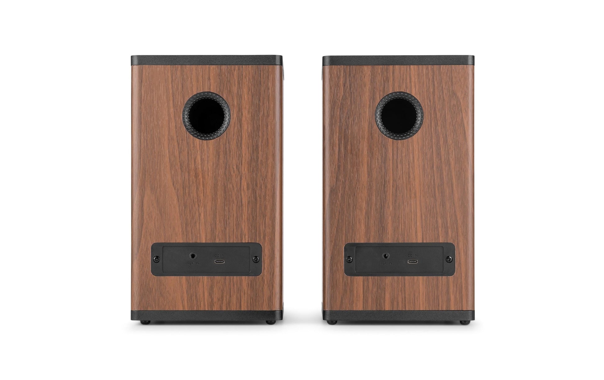 Audizio BS20-DW – Aktivlautsprecher – 100 W, Braun