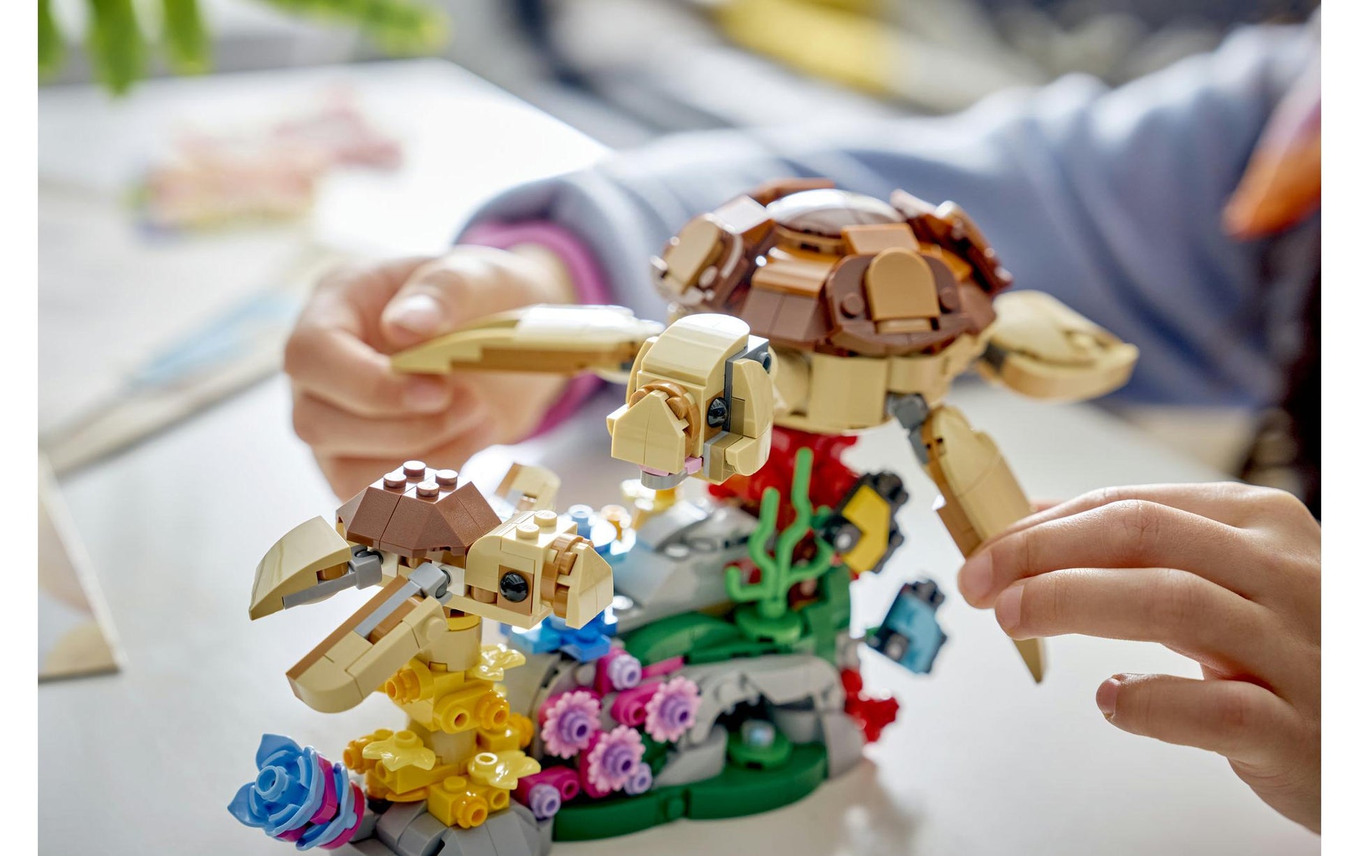 LEGO Creator 3in1 Koala-Familie Set – 1536 Teile – ab 10 Jahren