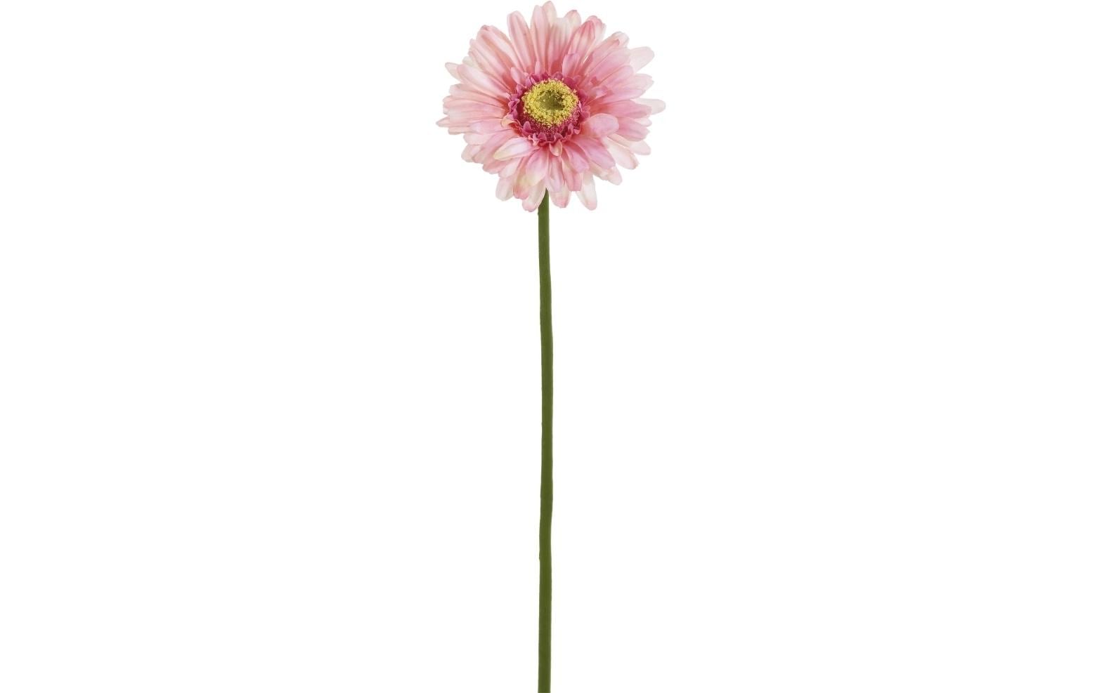 Botanic-Haus Trockenblumen – Rosa – 57 cm – Kunststoff
