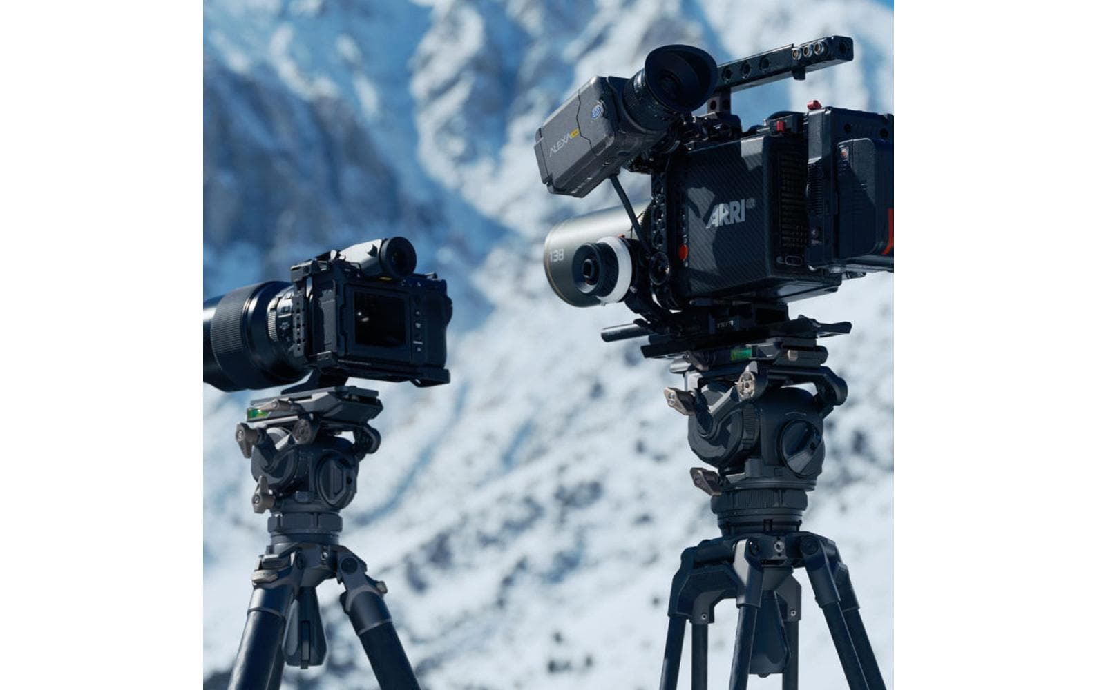 Tilta CT08 Videokopf – 75 mm Halbschale – Traglast 8 kg, 1/4"/3/8" – für Manfrotto, DJI, Arca-Swiss