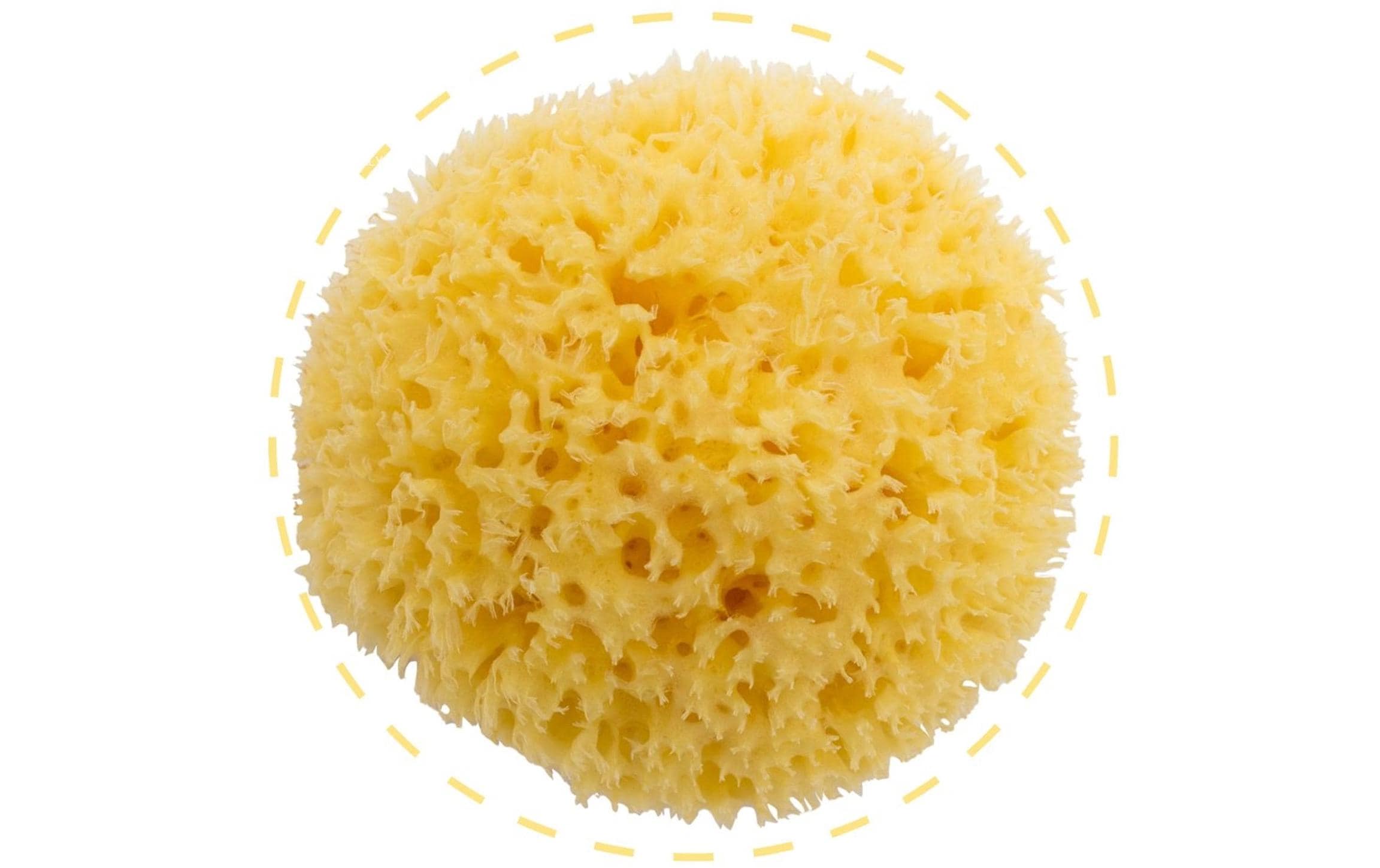 Bellini baby Schwamm Honeycomb – 1 Stk – gelb – Naturschwamm