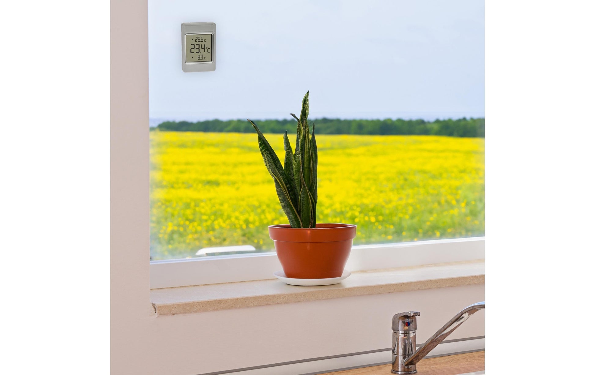 TFA-Dostmann WINDOO Temperatursensor – Innen