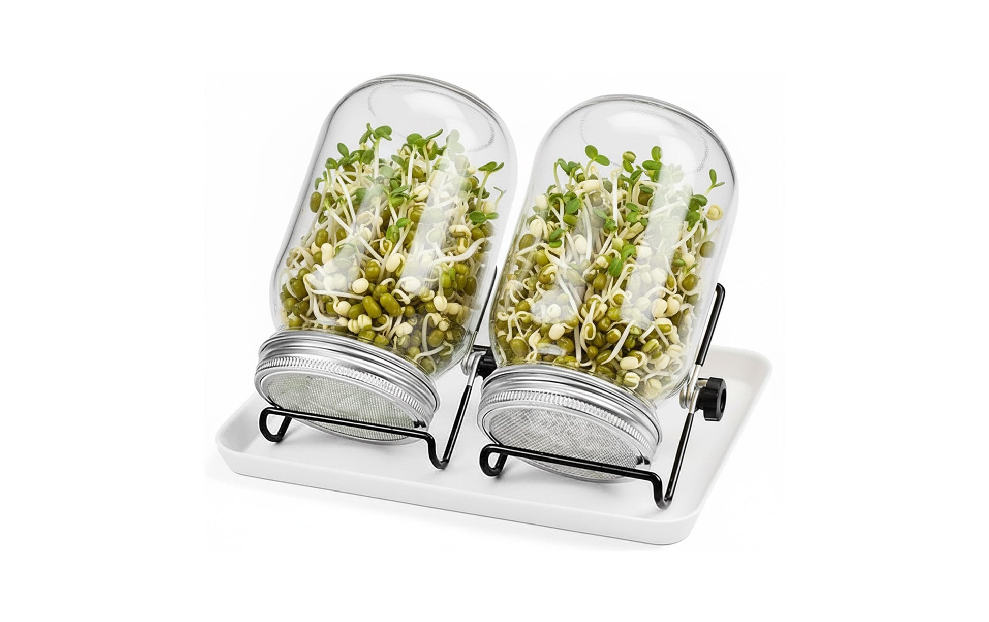 Relaxdays Sprossenglas 850 ml, 25 × 17 × 16,5 cm, Glas/Edelstahl/Melamin, Grau/Schwarz/Transparent, 2er-Set