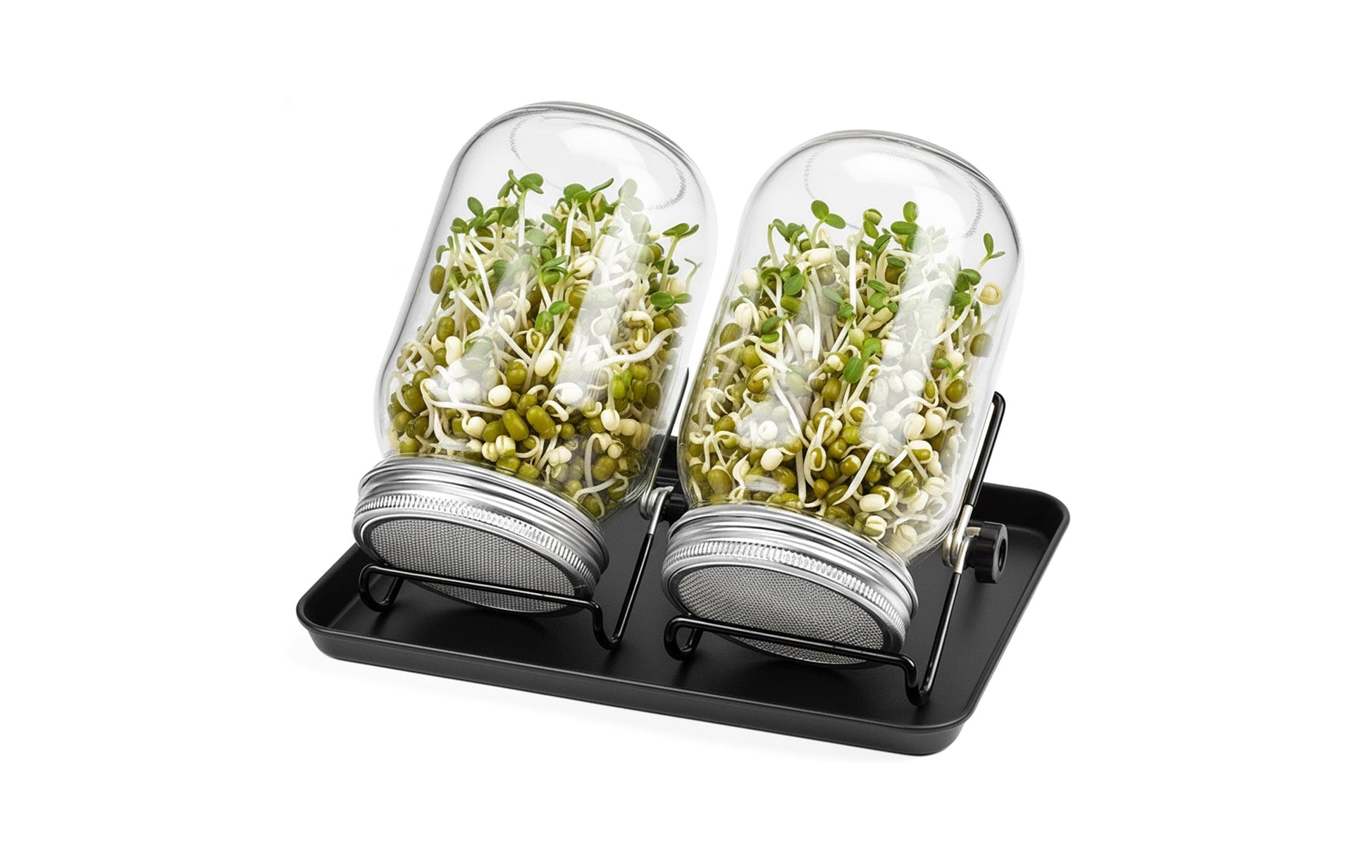 Relaxdays Vorratsdose 850 ml, Ø 10 × 16,5 cm, Edelstahl/Glas/Melamin, Schwarz/Transparent