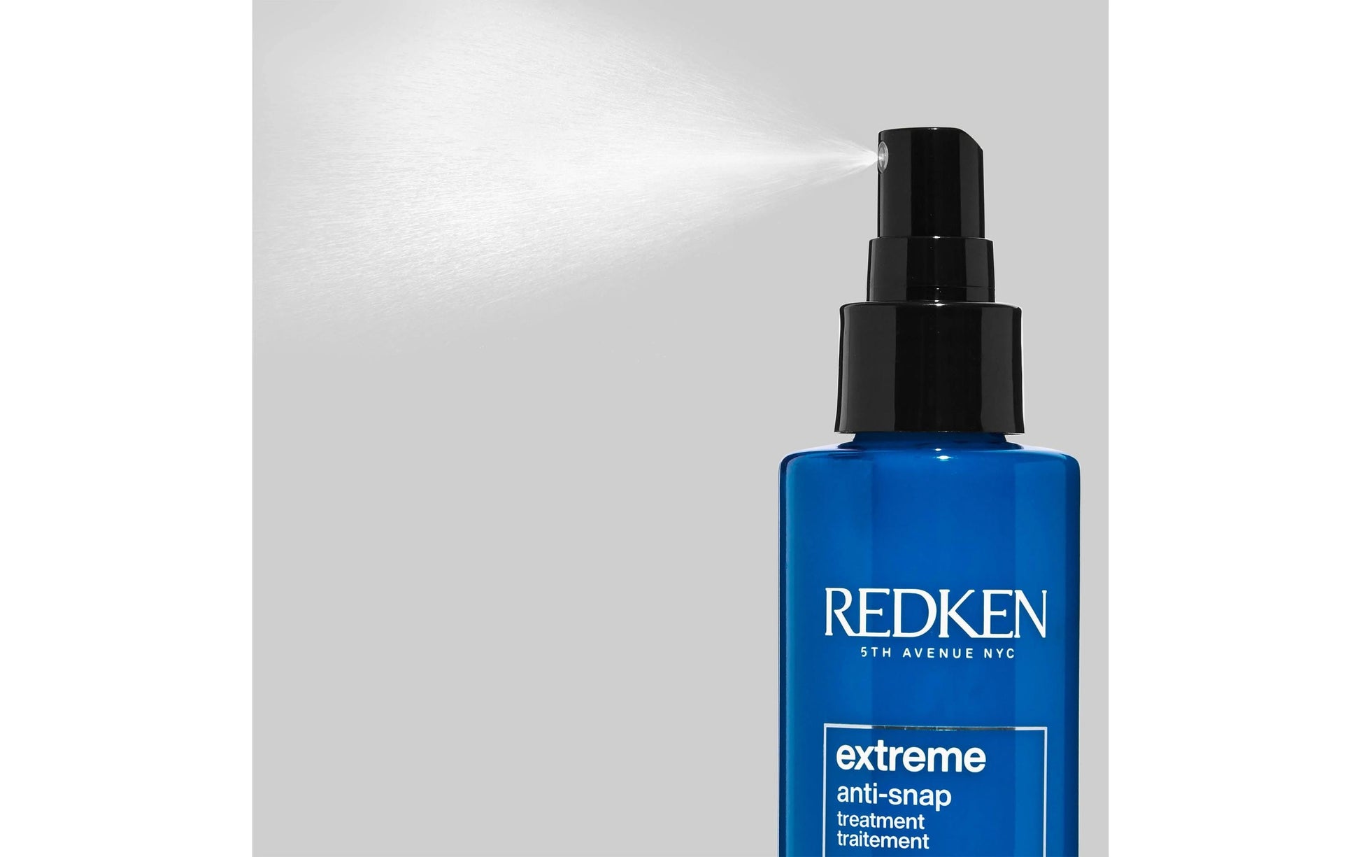 Redken Anti-Schuppen-Shampoo Wilisau 9.6 – 250 ml