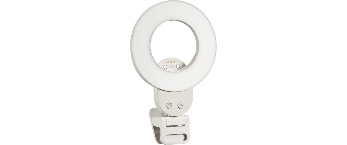 Godox LR30BI Handheld-LED-Licht – 300 mm, dimmbar, 3200–5600 K, 1,2 kg