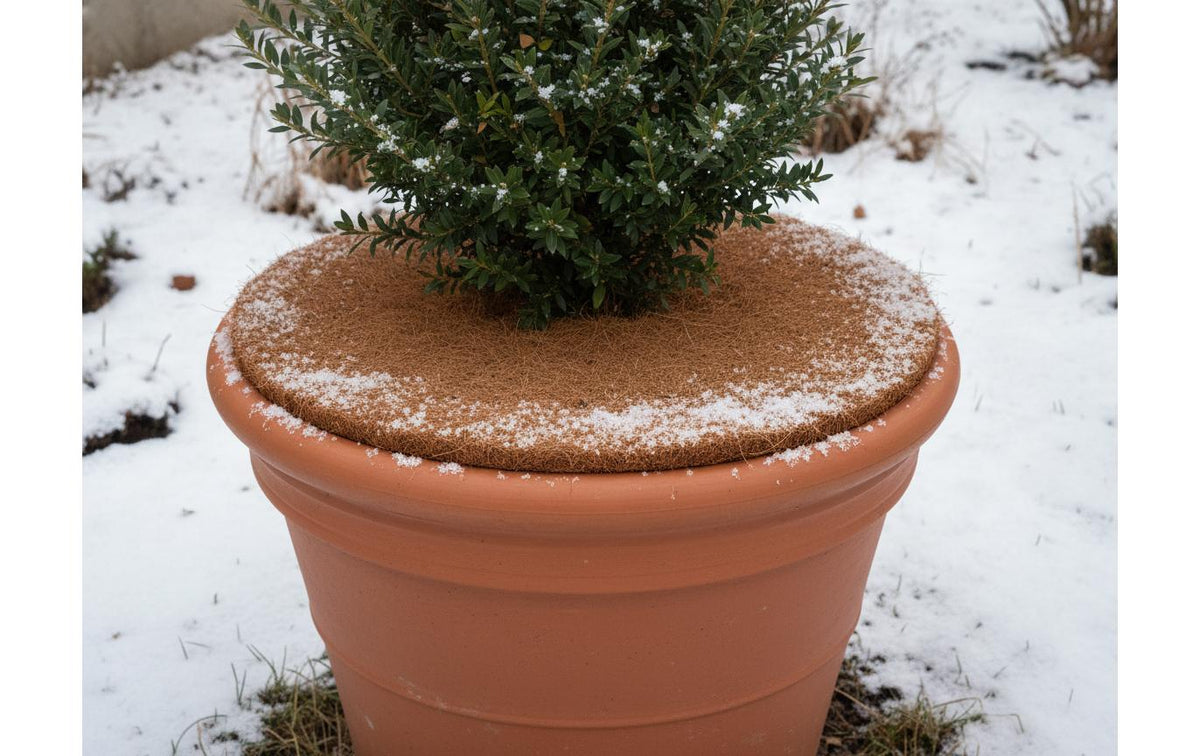 Struct Kokosscheiben Winterschutz – Ø 40 cm, Kokosfaser, Pflanzenvlies, 5 Stk.