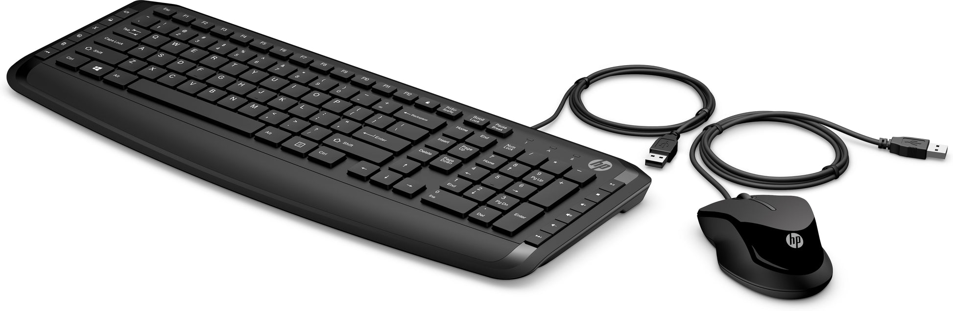 HP Wired Keyboard Mouse 250 – Tastatur-Maus-Set – Mechanisch – Kabelgebunden (USB) – QWERTY (US-INT) – Schwarz