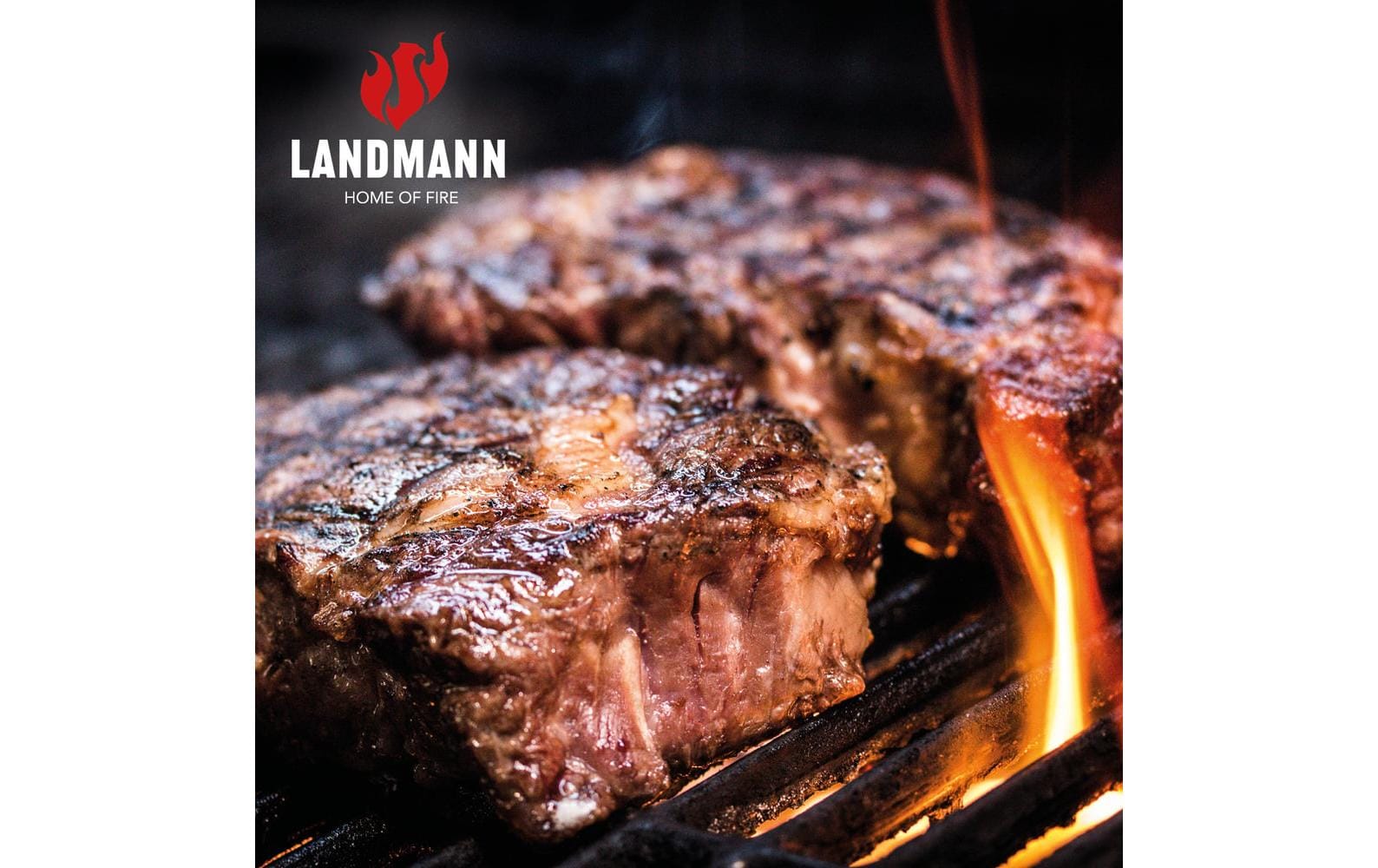 Landmann Gasgrill Black 2.0 – 2 Brenner, 55 cm Breite – Schwarz/Edelstahl