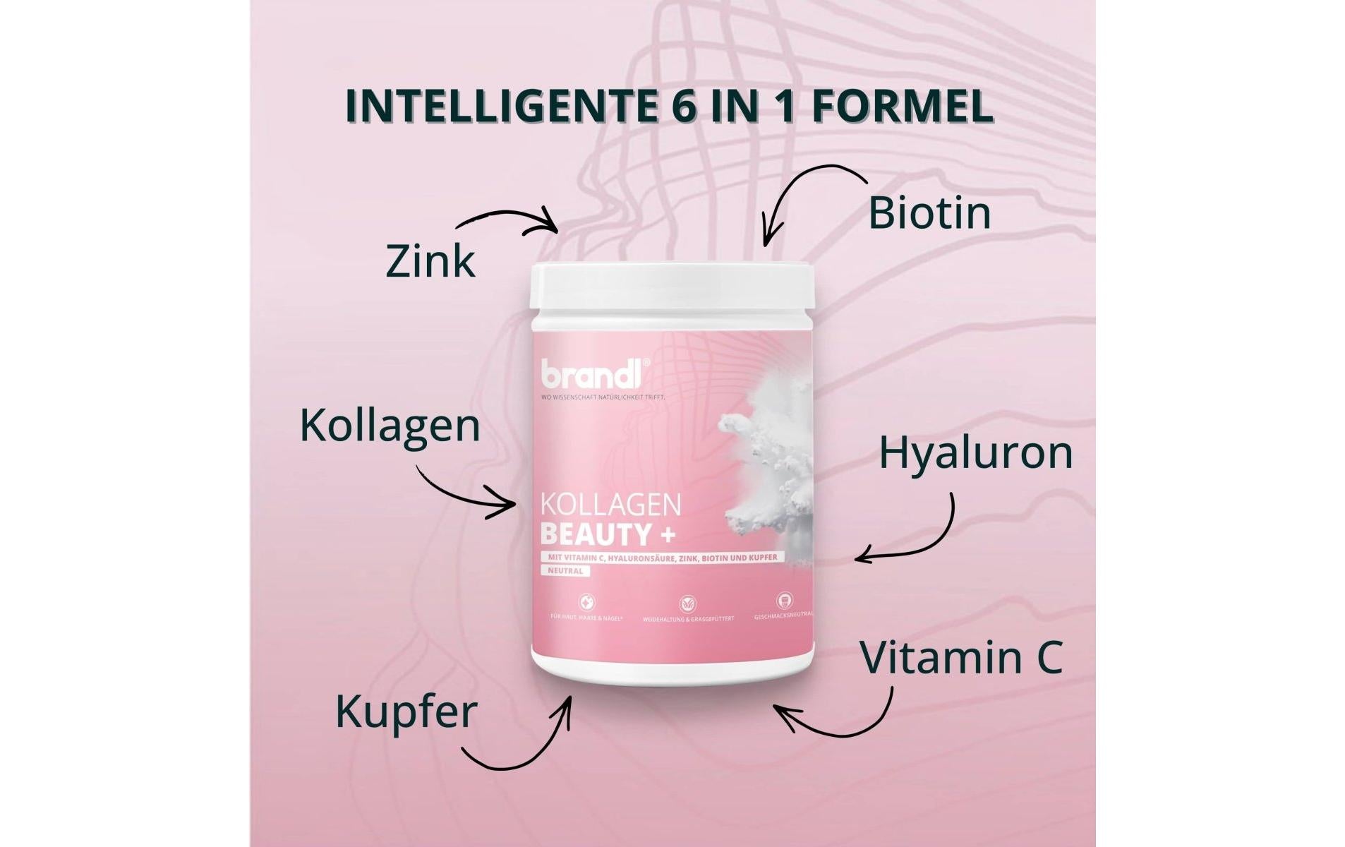 Brandl-nutrition Kollagen Trinkpulver Neutral – 555 g