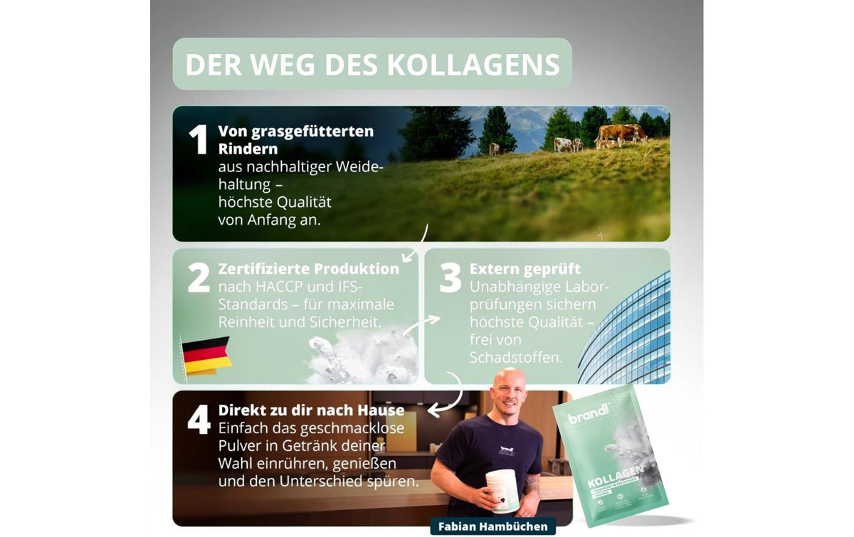 Brandl-nutrition Kollagen Pulver Neutral – 25×15 g