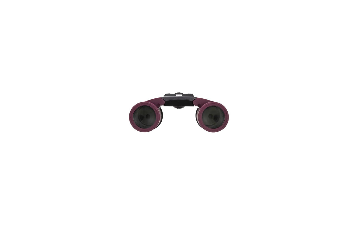 Om system Olympus – Kompaktes Fernglas – Violett – 115 × 45 mm – Dicke 114 mm – 8x25 WP II
