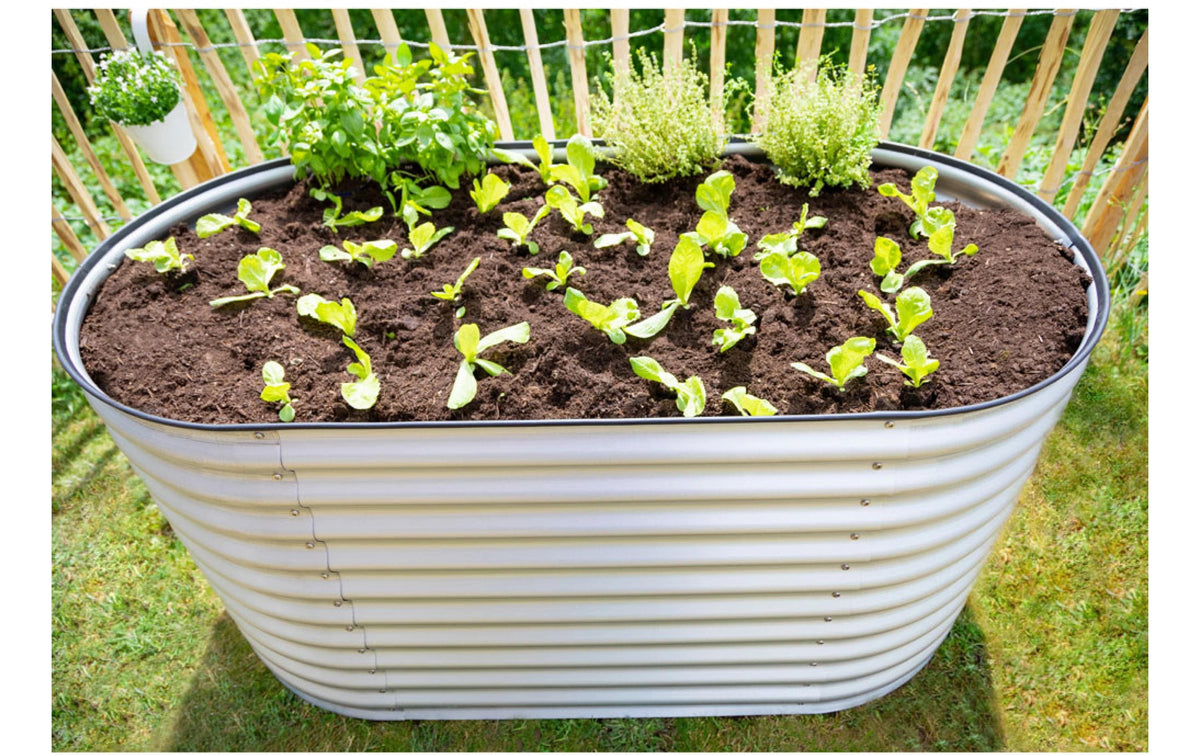 Westmann Grow Faster Hochbeet – 160 × 82 × 80 cm – Metall, silber