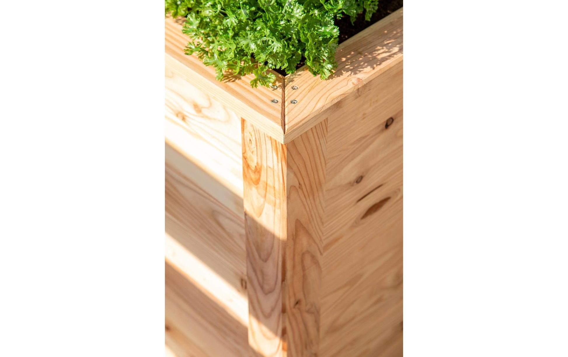 Westmann Hochbeet – 100 × 66 × 65 cm – Lärche
