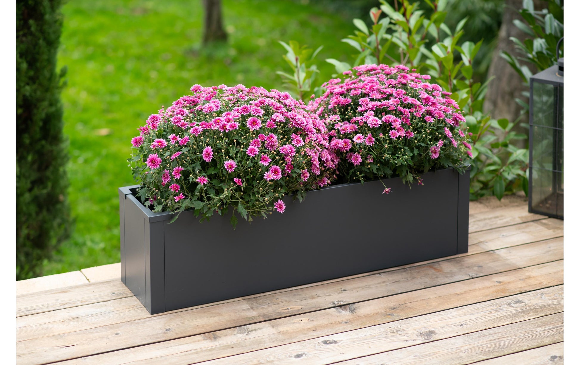 Westmann Pflanzkübel – 100 × 27 × 25 cm – Stahl