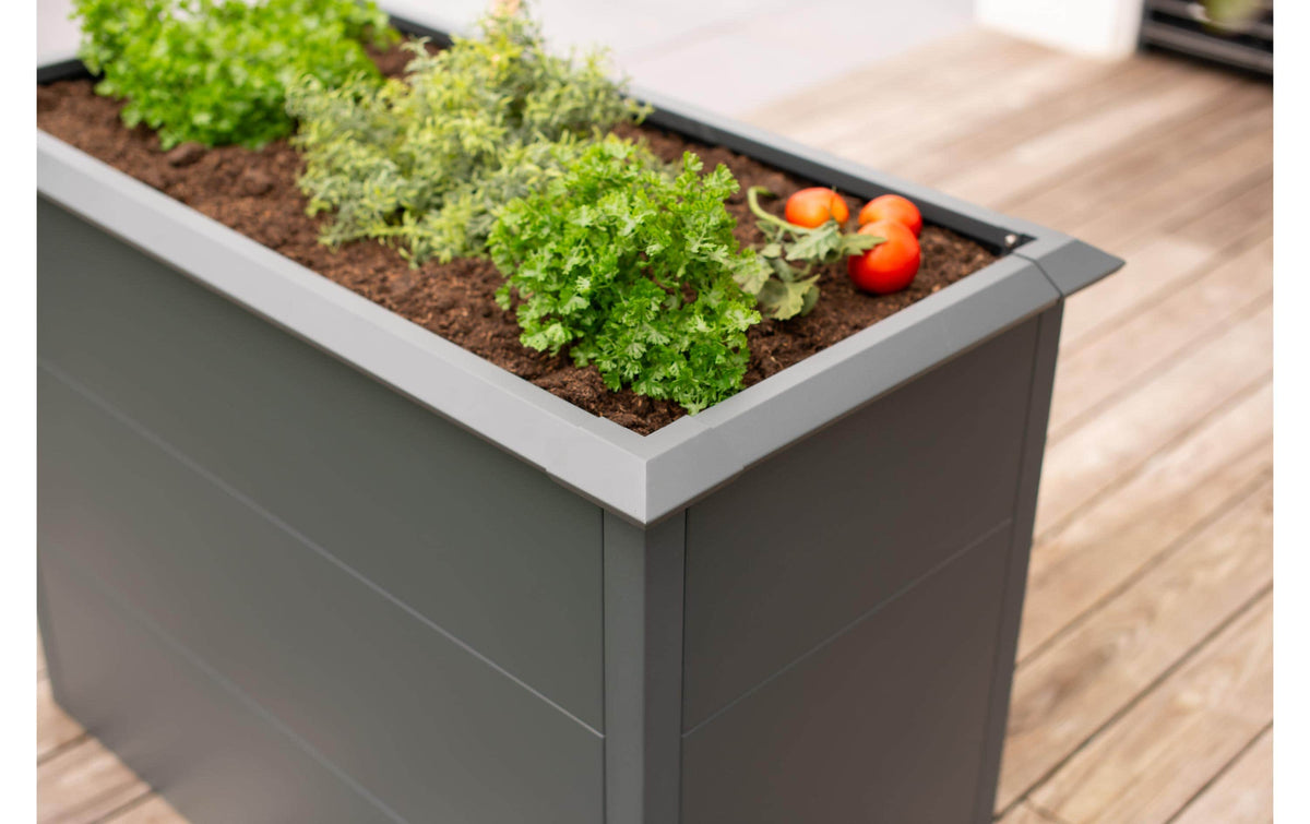 Westmann Primus M Hochbeet – 100 × 50 × 77 cm – Stahl, Anthrazit