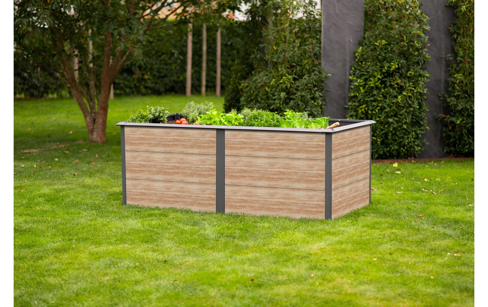 Westmann Primus-Multi XL Hochbeet – 200 × 77 × 100 cm – Metall & Stahl, mehrfarbig