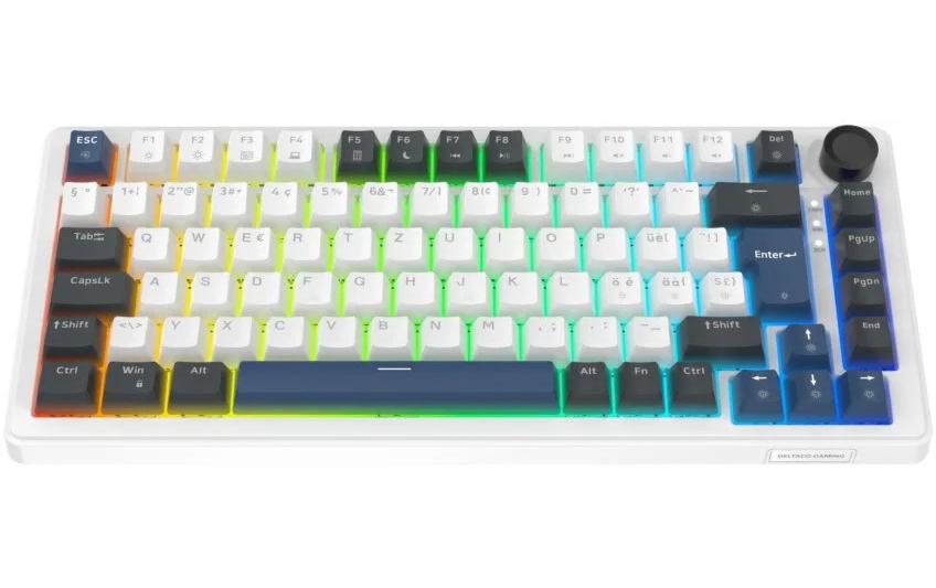 Deltaco Gaming DK480 GAM-205 – Gaming-Tastatur 75% – Mechanisch – Verkabelt (USB-C) – QWERTZ (CH) – RGB