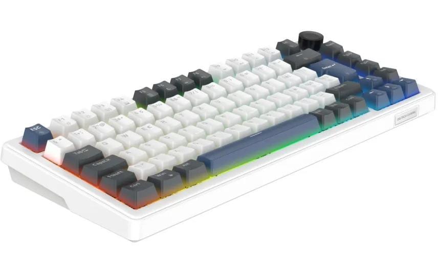 Deltaco Gaming DK480 GAM-205 – Gaming-Tastatur 75% – Mechanisch – Verkabelt (USB-C) – QWERTZ (CH) – RGB