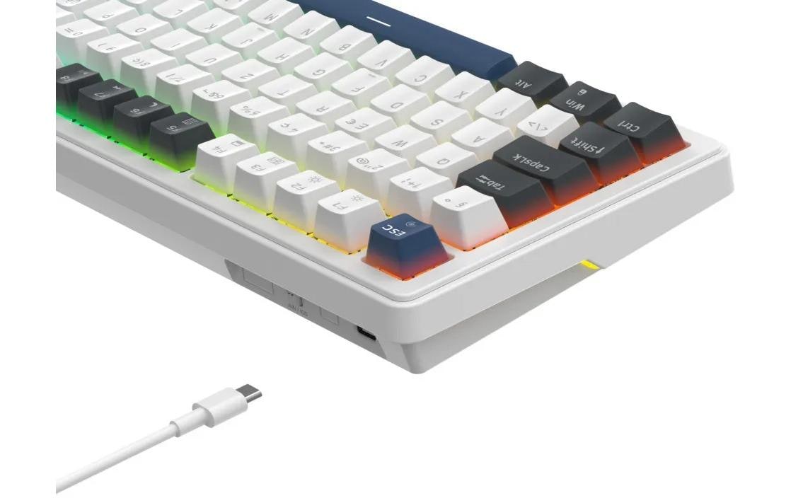 Deltaco Gaming DK480 GAM-205 – Gaming-Tastatur 75% – Mechanisch – Verkabelt (USB-C) – QWERTZ (CH) – RGB