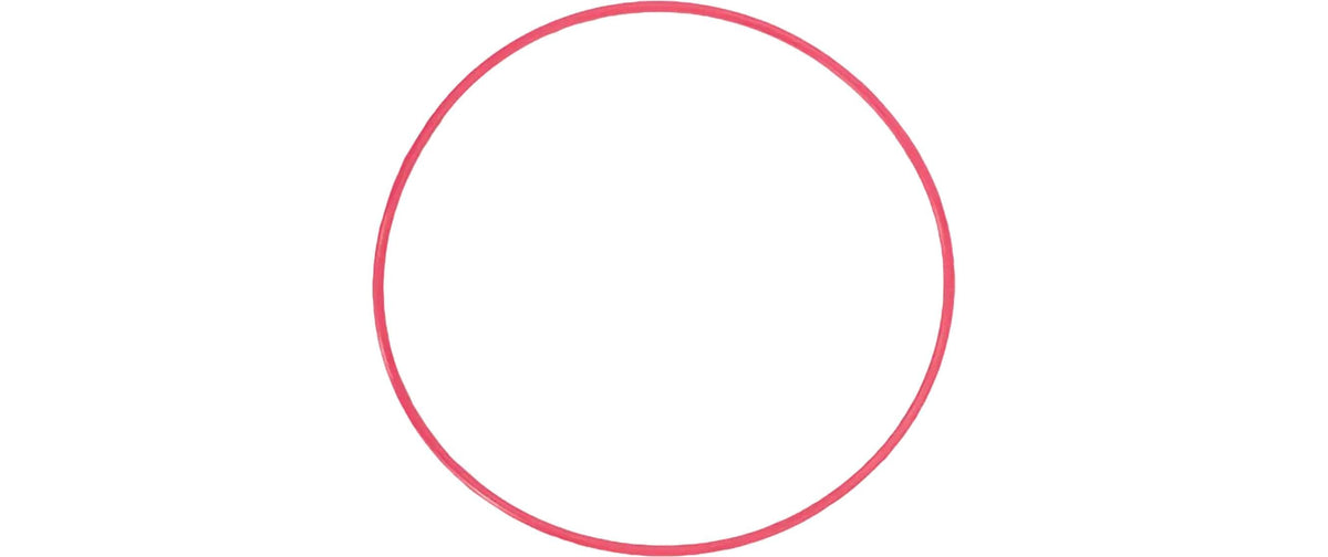 Om system Olympus POL-050 Dichtungsring – 164 × 8 × 185 mm – für Olympus PT-050 – rot