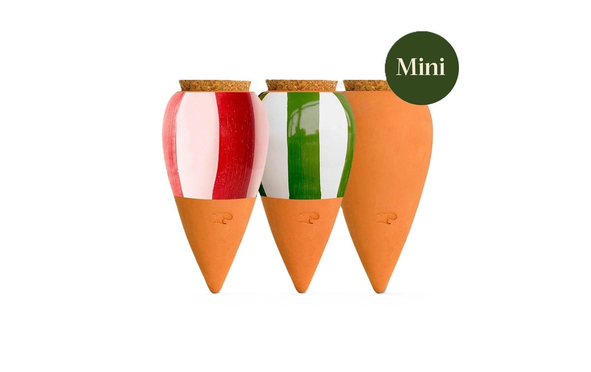 Pepin Wasserspender Olla – Ø 9,5 × 17 cm – Ton, Terracotta – 3-teilig