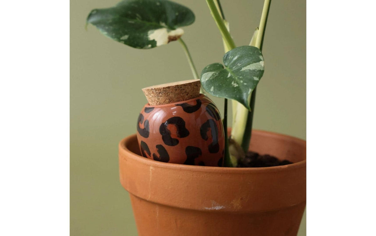 Pepin Wasserspender Olla rund Ø 9,5 × 17 cm, Terracotta, Macchiato, für Topfpflanzen