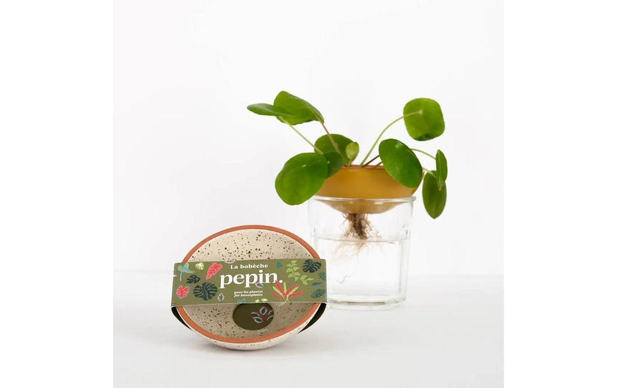 Pepin Keimschale 240 ml, Ø 10 × 3 cm, Keramik, Weiss