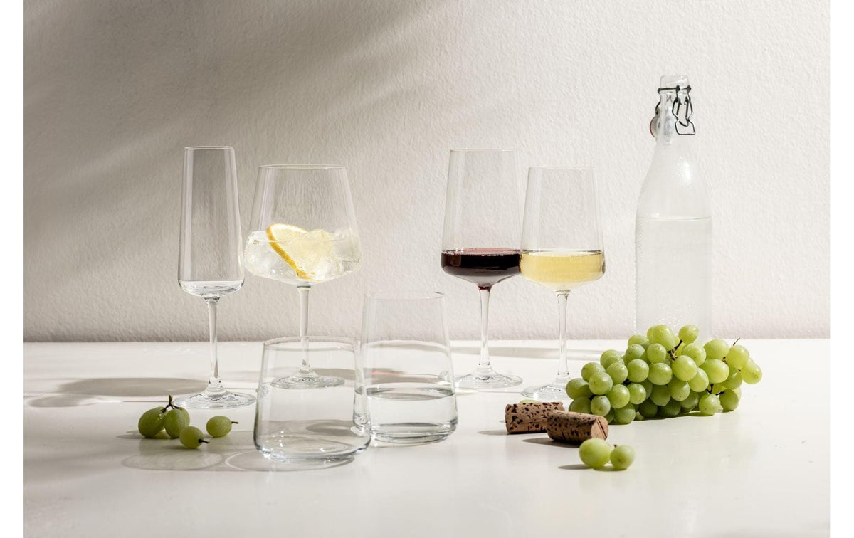 SCHOTT ZWIESEL MioVino Wasserglas – 4er Set, 410 ml, Ø 9,4 cm, Kristallglas, Transparent, spülmaschinenfest