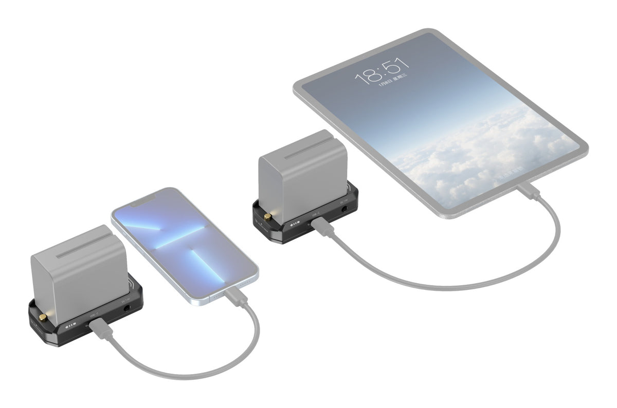SmallRig 3168B NP-F Akkubadapter-Montageplatte – für NP-F-Akkus (universal)