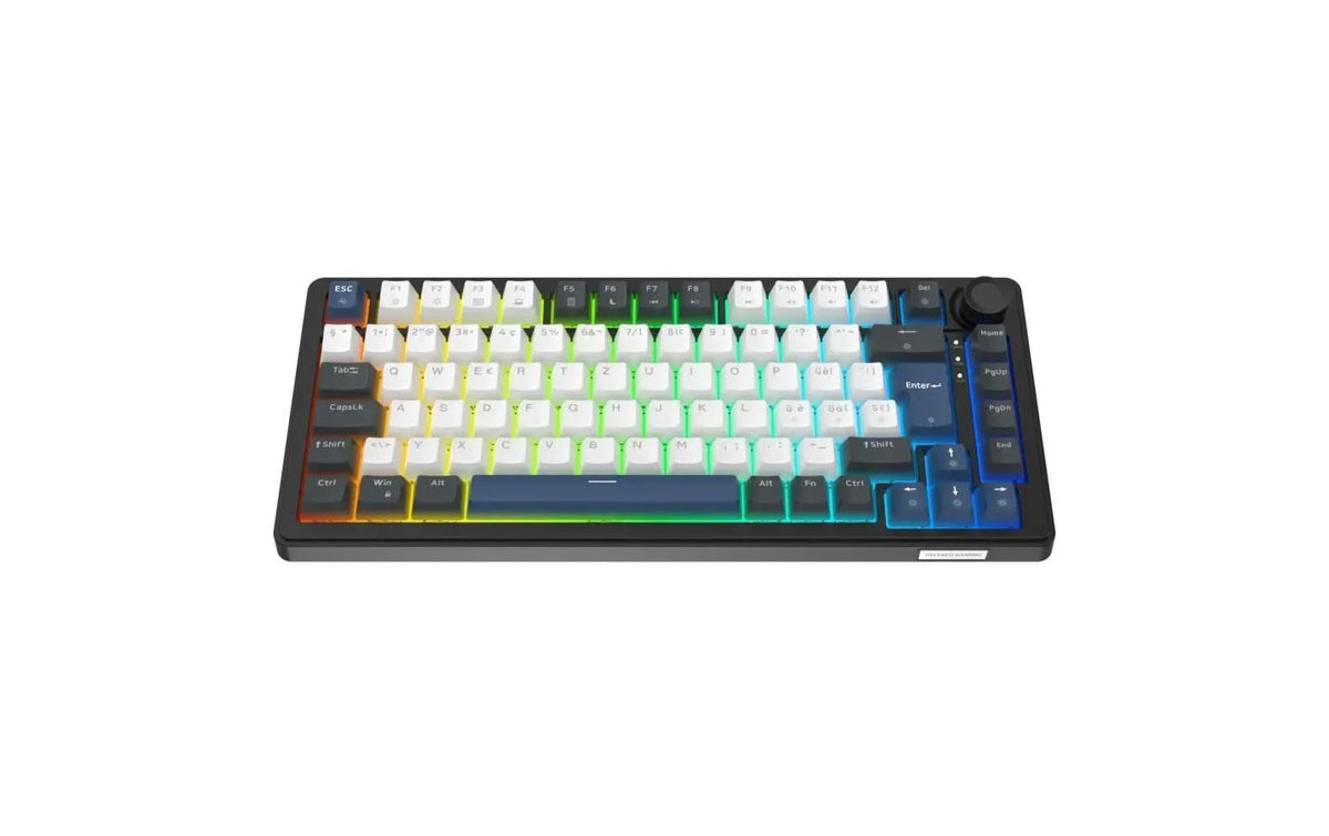 Deltaco Gaming DK480 – Gaming-Tastatur 75% – Mechanisch – Verkabelt – QWERTZ (CH) – RGB