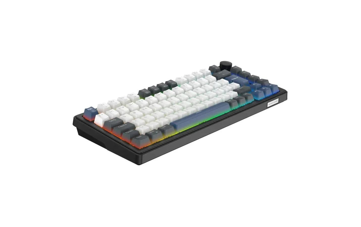 Deltaco Gaming DK480 – Gaming-Tastatur 75% – Mechanisch – Verkabelt – QWERTZ (CH) – RGB