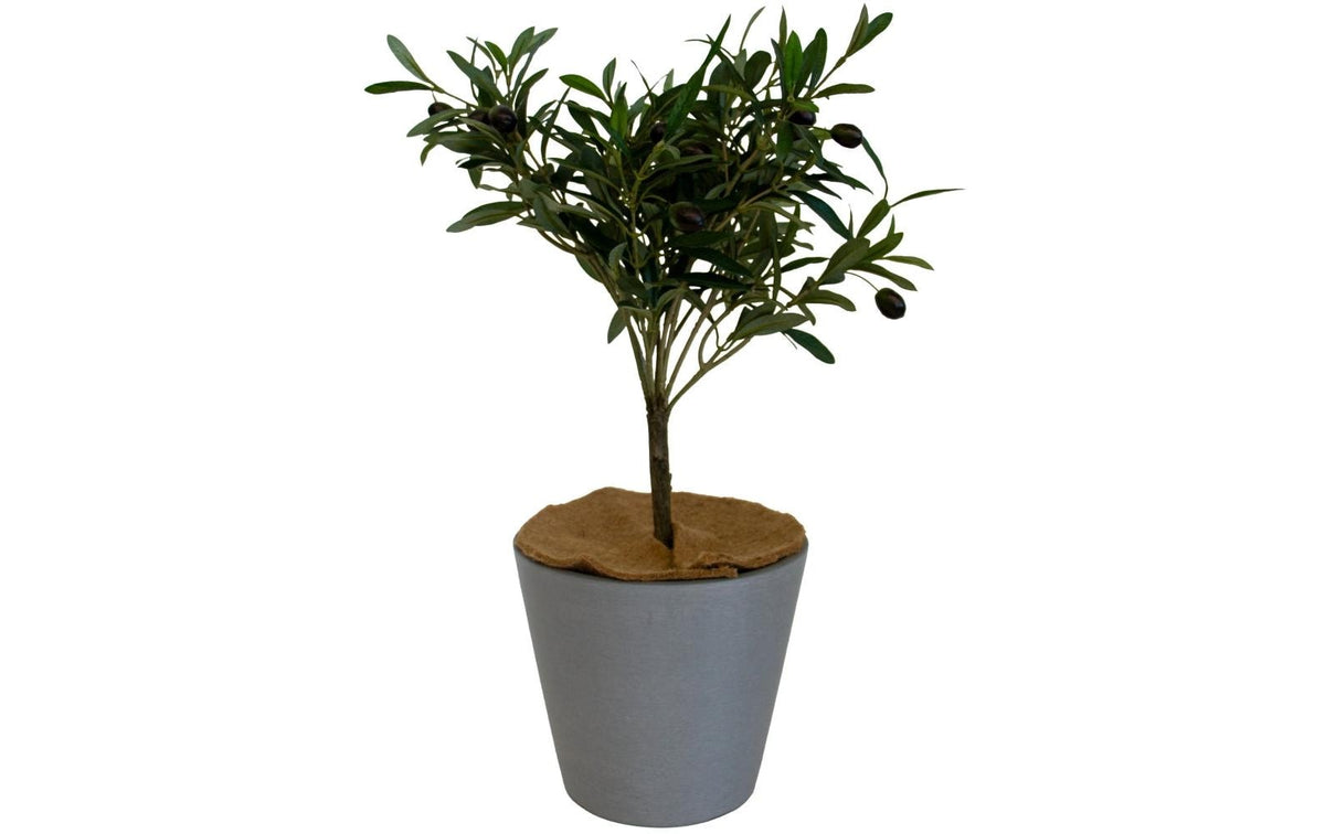 Colibri Nature Mulchmatte – rund, Ø 40 cm, Kokos, 160 g
