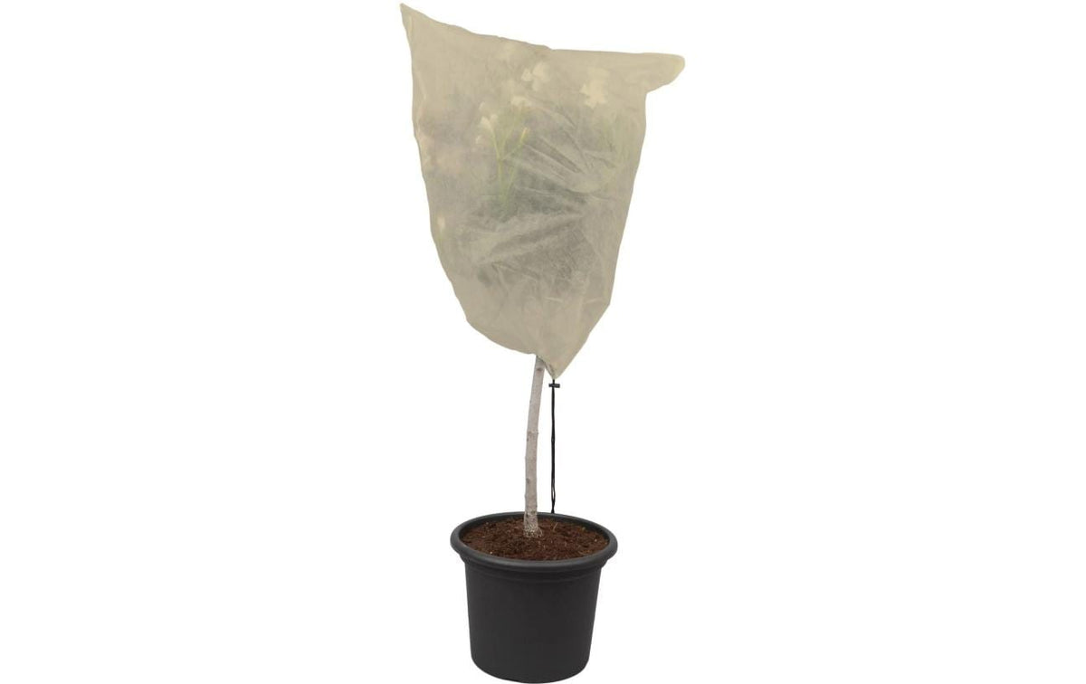 Colibri Winterhaube – 50 × 100 cm, Pflanzenvlies