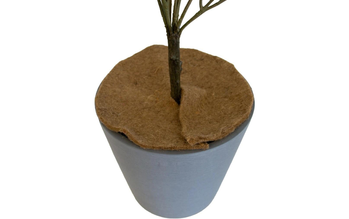 Colibri Nature Mulchmatte – rund, Ø 40 cm, Kokos, 160 g
