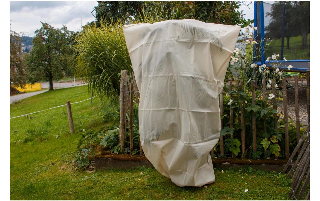 Colibri Winterhaube Winter Hood XL – 75 × 180 cm, Pflanzenvlies, 2er-Set