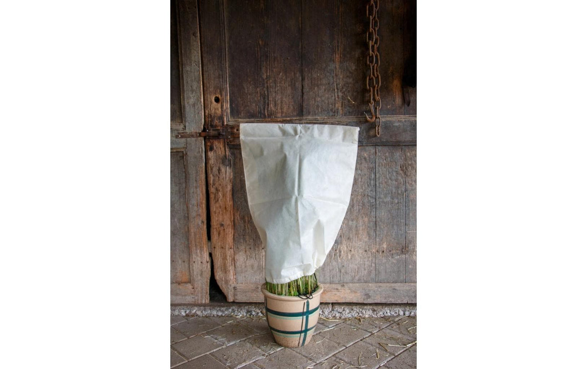 Colibri Winterhaube – 50 × 100 cm, Pflanzenvlies