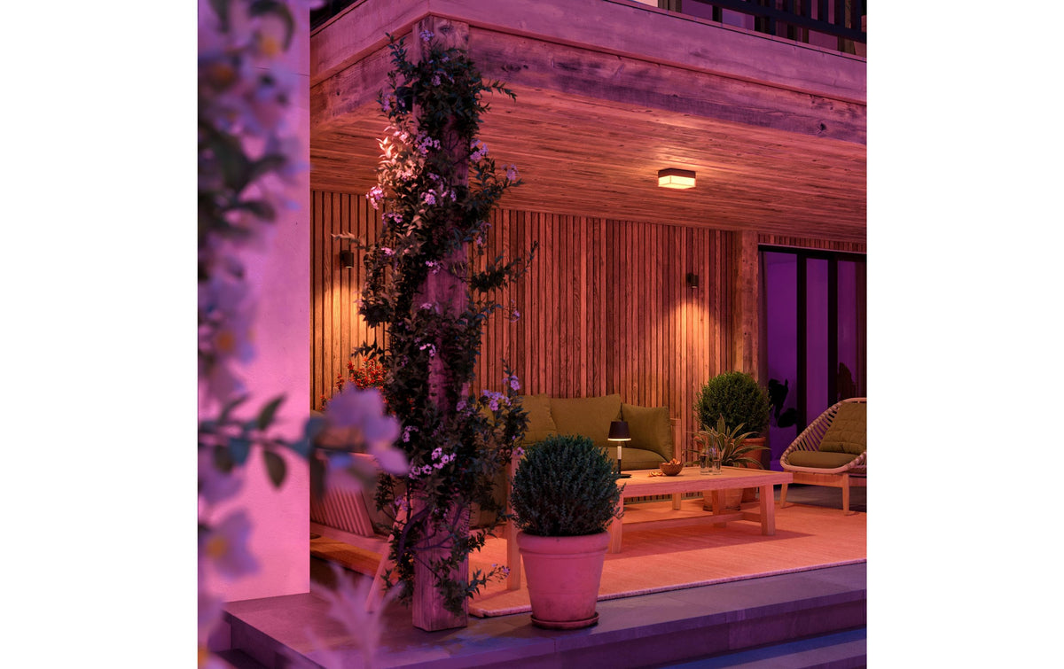 Philips by Signify Philips Hue Aussenwandleuchte – RGBW, 2000–6500 K – IP44 – Netzbetrieb – Zigbee, Bluetooth – für Philips Hue