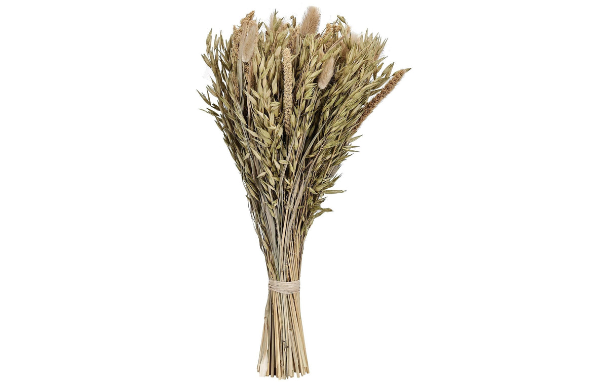 Eglo CARAQUET Trockenblumen – Mehrfarbig – 1er-Pack