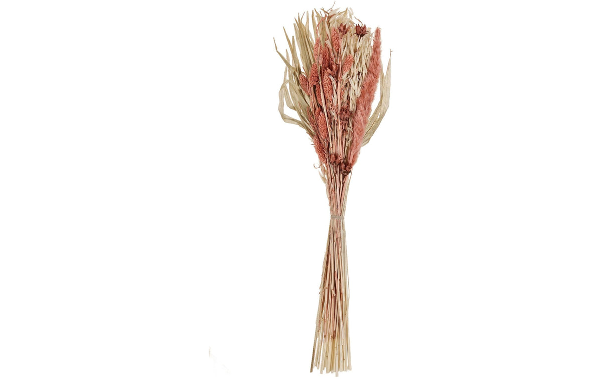 Eglo Trockenblumen – Mehrfarbig – 1er-Pack