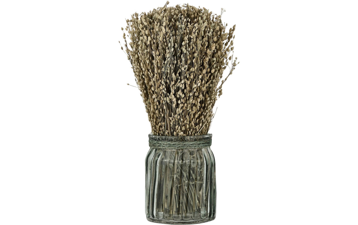 Eglo Trockenblumen CARAQUET – Glas & Trockenblume, braun, 1 Stück
