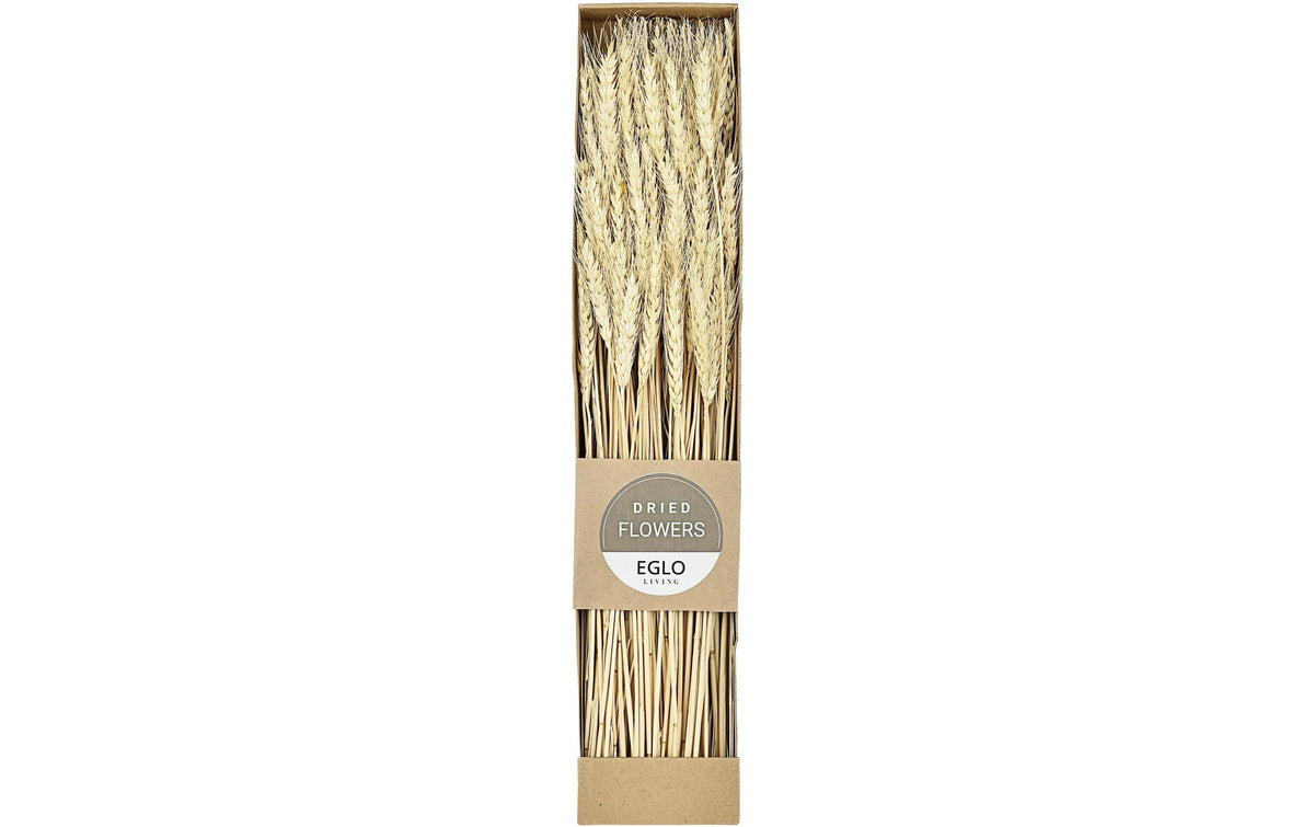 Eglo Trockenblumen – Mehrfarbig – 1er-Pack
