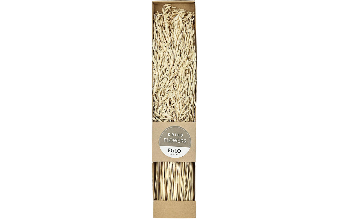 Eglo Trockenblumen GUIPOS – mehrfarbig – 1er-Pack